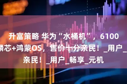 升富策略 华为“水桶机”，6100mAh+麒麟芯+鸿蒙OS，售价十分亲民！_用户_畅享_元机