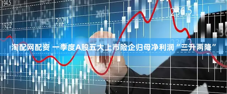 淘配网配资 一季度A股五大上市险企归母净利润“三升两降”