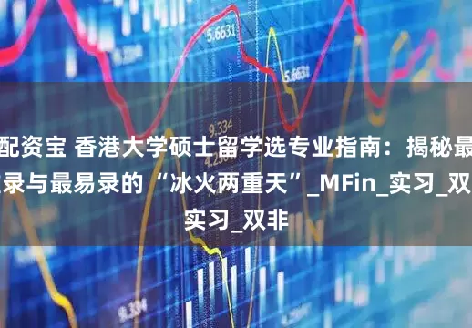 配资宝 香港大学硕士留学选专业指南：揭秘最难录与最易录的 “冰火两重天”_MFin_实习_双非