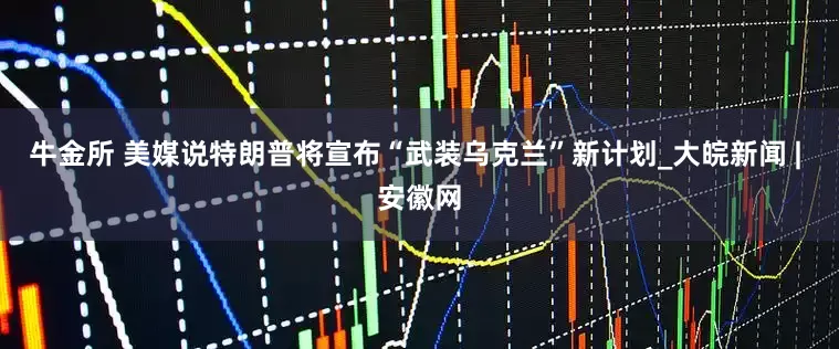 牛金所 美媒说特朗普将宣布“武装乌克兰”新计划_大皖新闻 | 安徽网