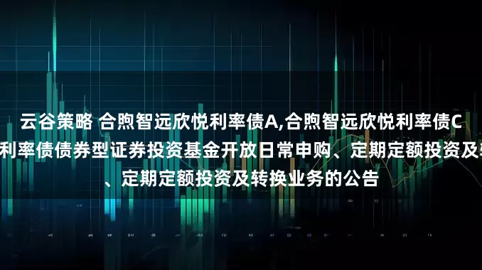 云谷策略 合煦智远欣悦利率债A,合煦智远欣悦利率债C: 合煦智远欣悦利率债债券型证券投资基金开放日常申购、定期定额投资及转换业务的公告