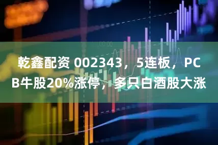 乾鑫配资 002343，5连板，PCB牛股20%涨停，多只白酒股大涨